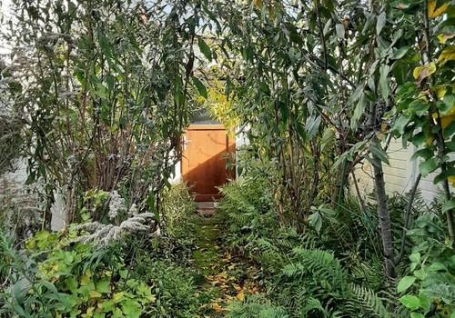 Garten_Blick_zur_Garage