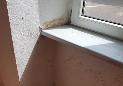 Feuchtigkeit Fenster