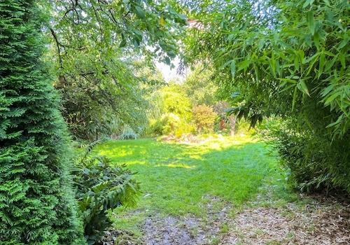 Viel grüner gehts nicht