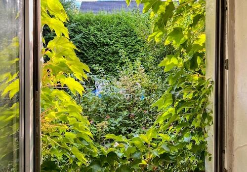 Blick in den Vorgarten auf Südwest (1)