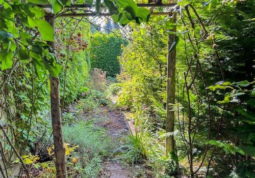 Blick in den Vorgarten auf Südwest (2)