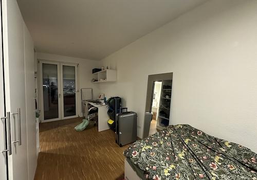 Wohn- und Schlafzimmer