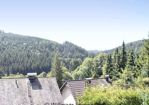 Doppelhaushälfte: Ihr Rückzugsort im Grünen von Willingen – Willingen (Upland), de – Vorschaubild 44