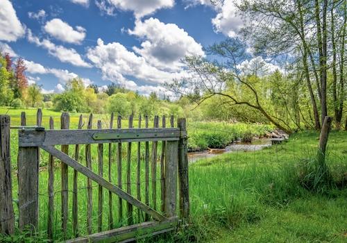 Bachlauf am Grundstück