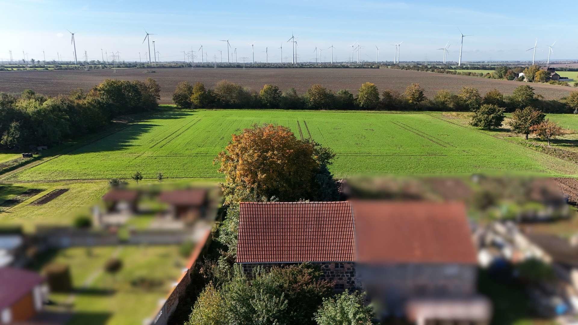 Blick Rückseite