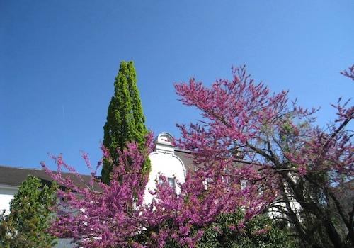 der Sommer darf kommen