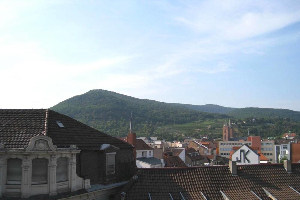 Blick aus dem OG