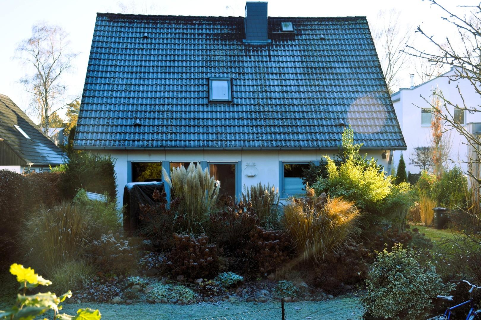 Garten/Terrasse hinten