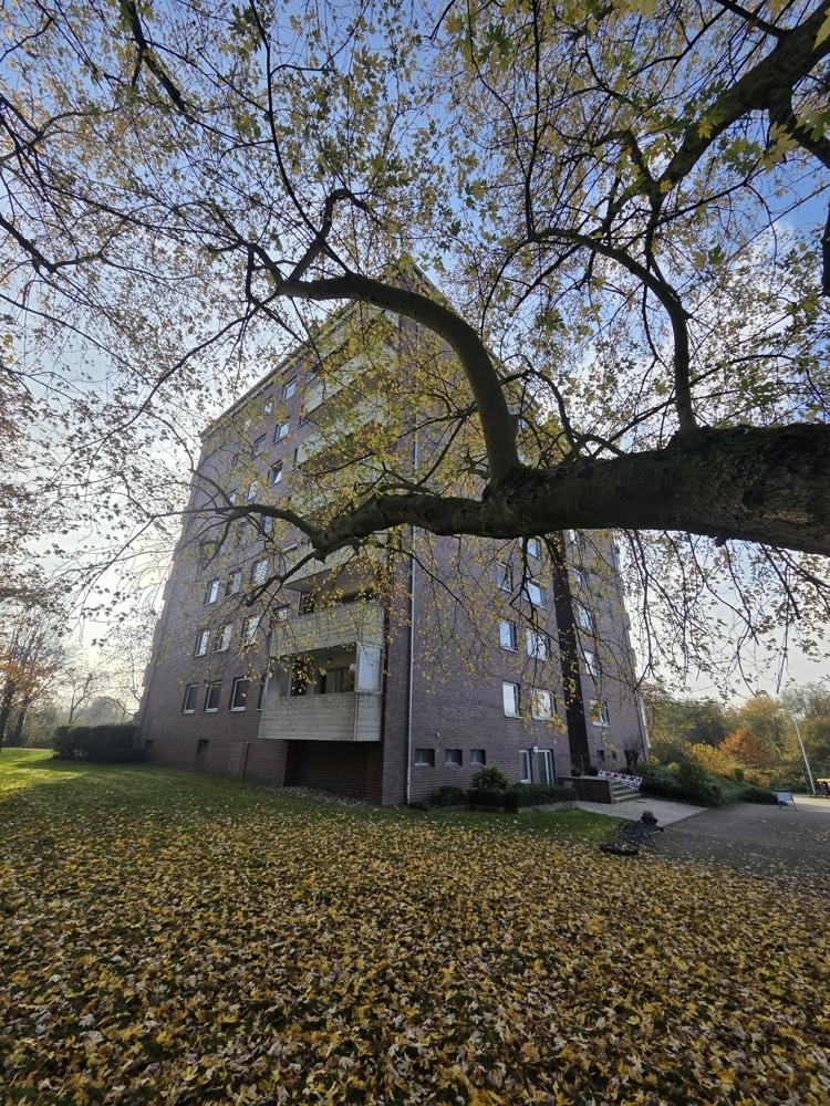 Hauansicht