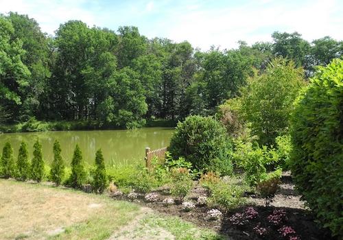 Blick aus dem Garten