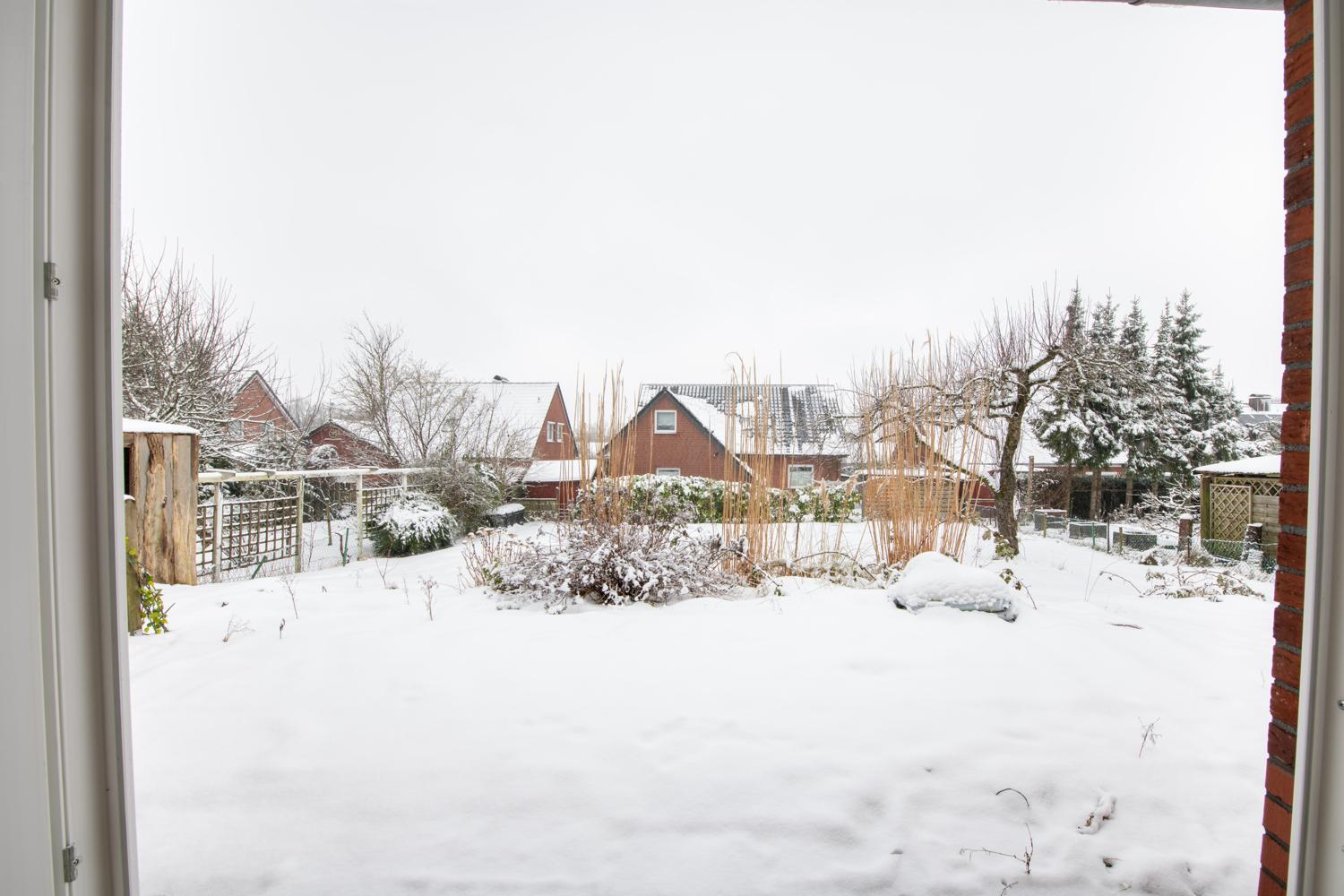 Garten 1