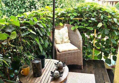 mit kleiner Terrasse