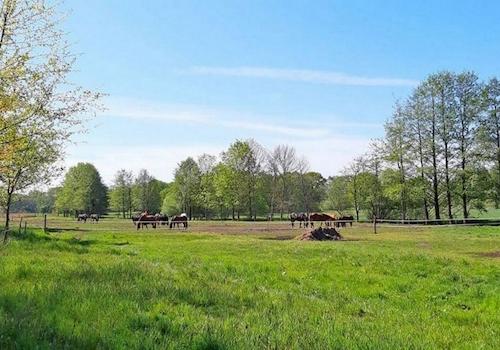 Reit- und Ferienanlage