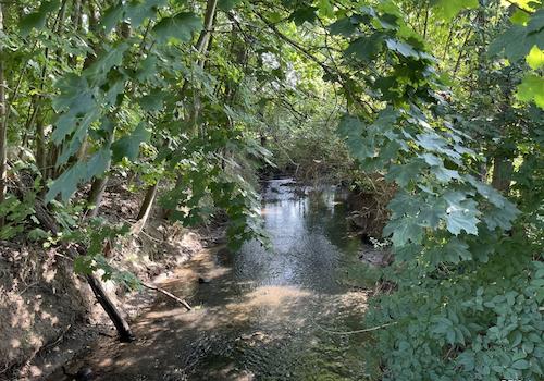Mühlenbach