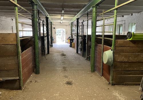 Pferdestall innen