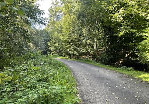 Zentrale Erschließungsstraße