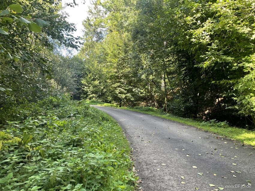 Zentrale Erschließungsstraße