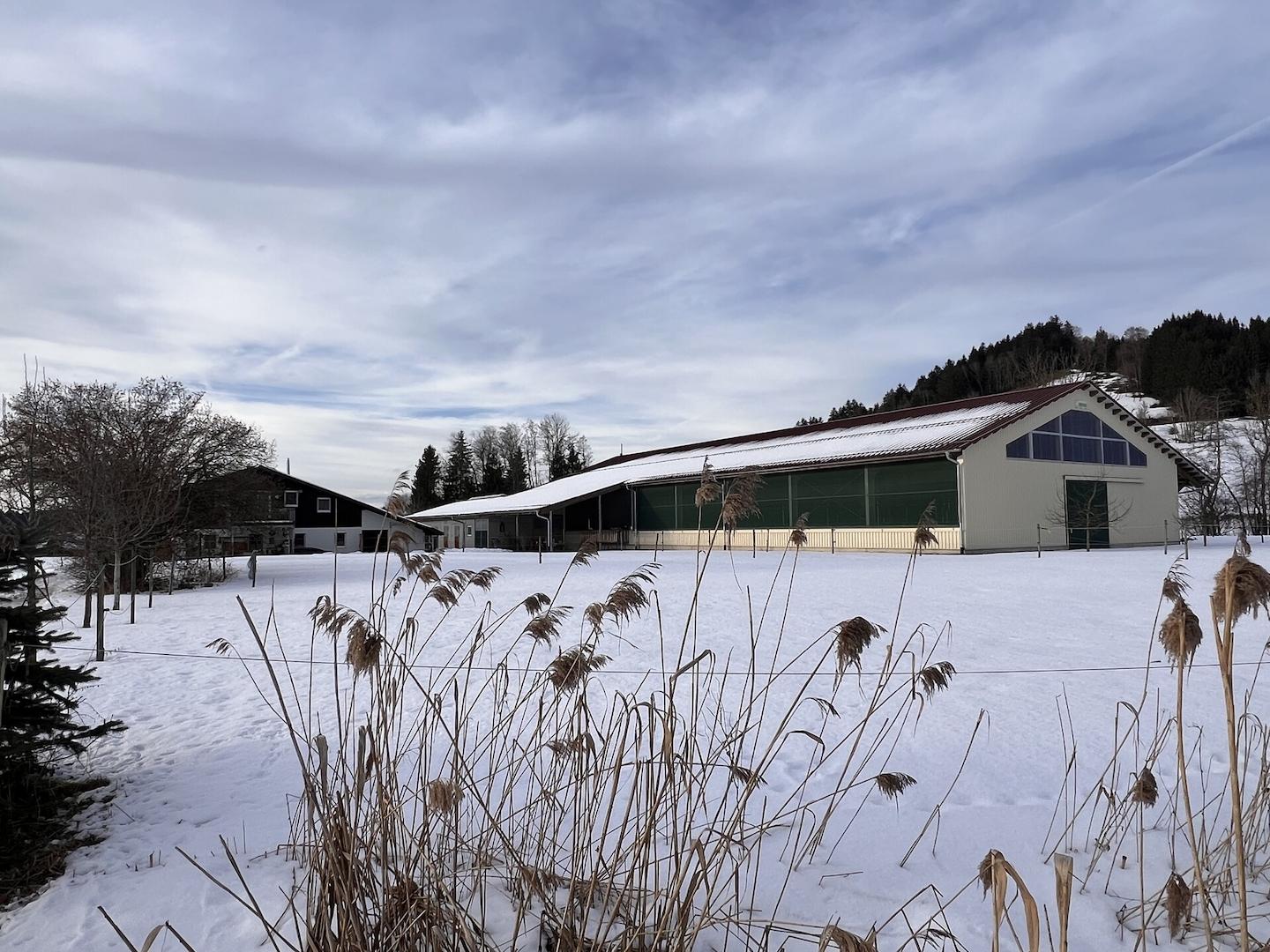 Ansicht vom Löschweiher