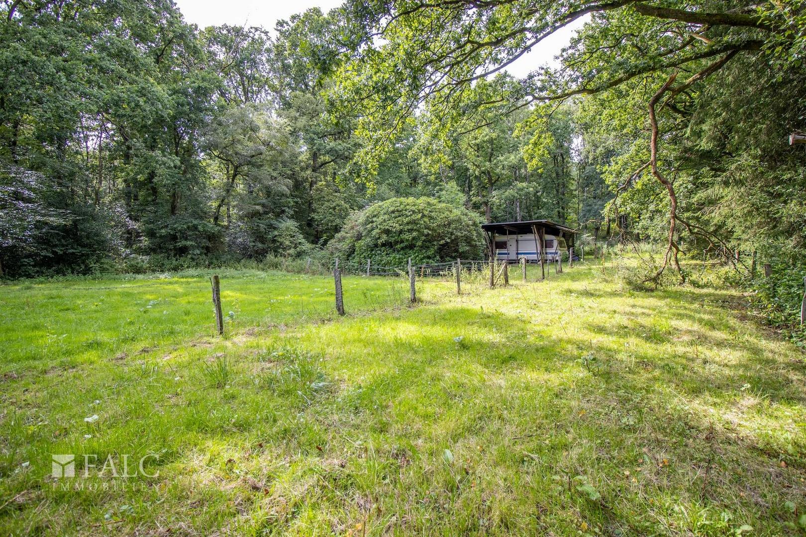 Soweit das Auge reicht 