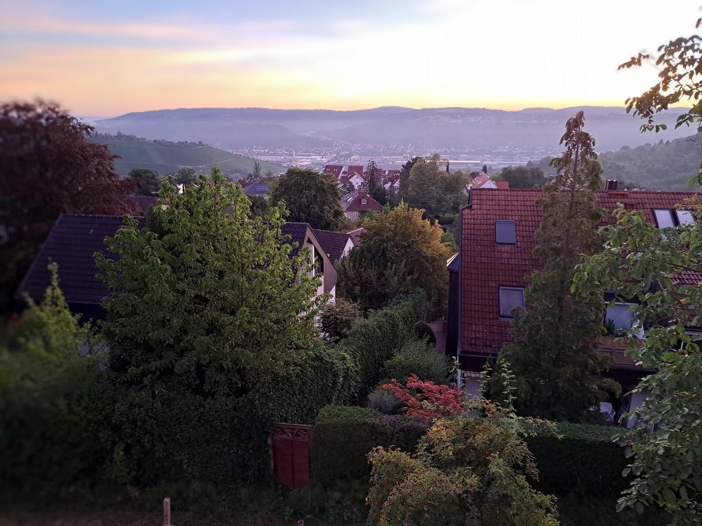 Blick ins Neckartal Ost