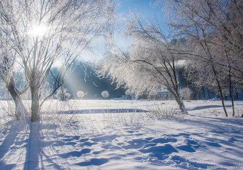 Open House am Samstag, 24.01.2026, 14:00 bis 17:00 Uhr in Kößlarn - ICC Immobilien Competence Center