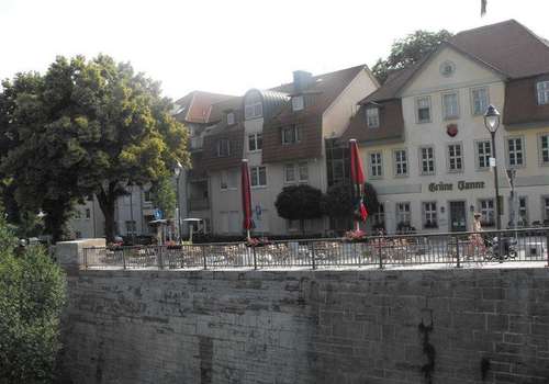 2009_0703JenaGrTanne0109