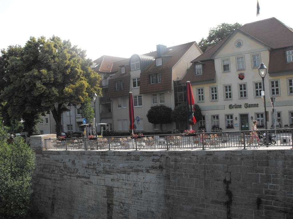 2009_0703JenaGrTanne0109