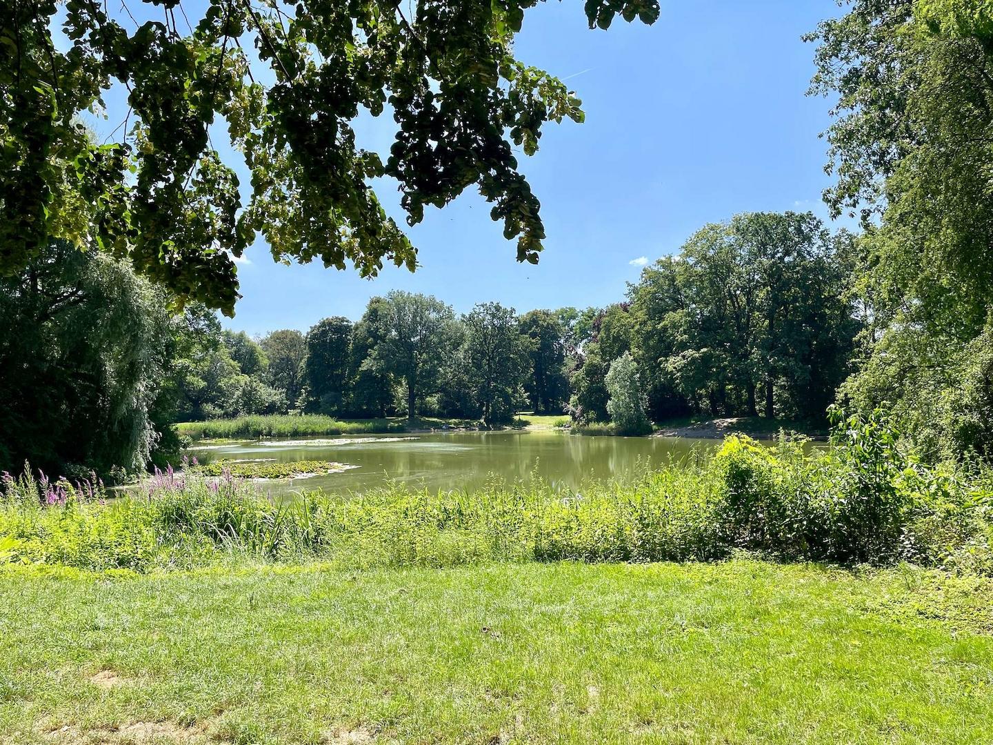 Seerosenteich im Stünzer Park