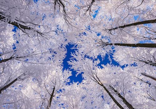 ICC - Immobilien Competence Center