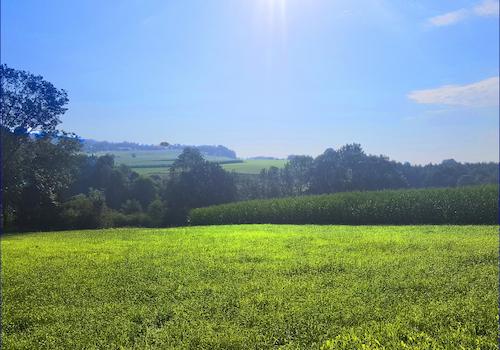 Die Traumaussicht vom Sacherl auf das großzügige Grundstück