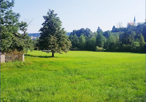 Das zauberhafte Grundstück, wenn Träume war werden...