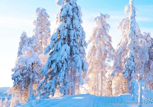 Winterbild - Open House Event - Binderhäusl 2, Stubenberg - Simbach am Inn - ICC Immobilien Competence Center