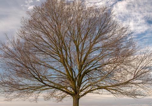 Winterbild - Open House Event - Binderhäusl 2, Stubenberg - Simbach am Inn - ICC Immobilien Competence Center