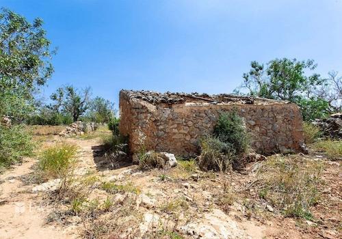 Terreno_M_14_Felanitx_09_Low