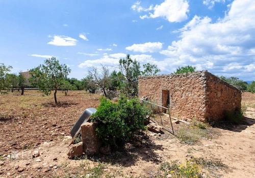 Terreno_M_14_Felanitx_12_Low