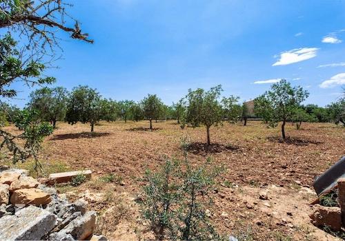 Terreno_M_14_Felanitx_14_Low