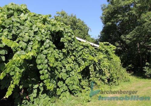 Ansicht Schuppen.jpg