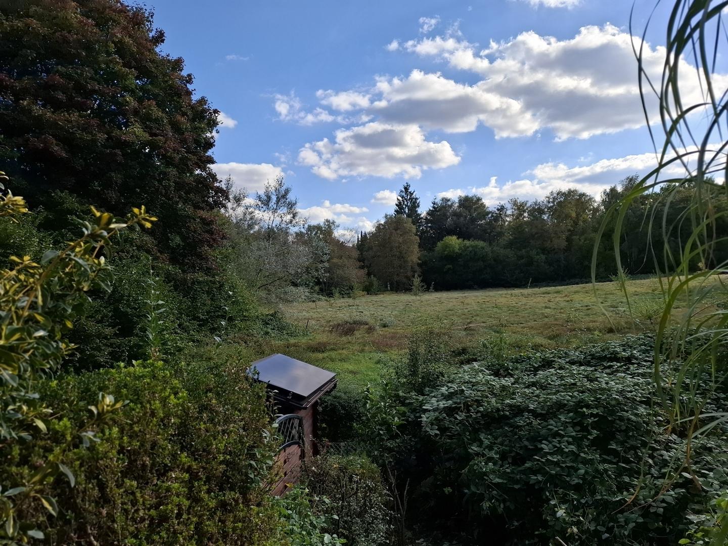 Ausblick Terrasse