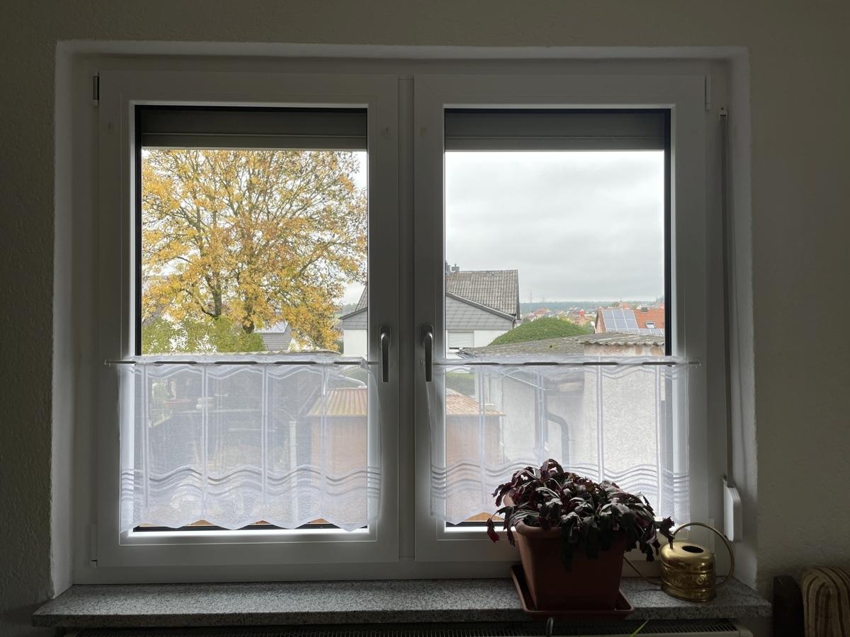 Fenster EG von 2022