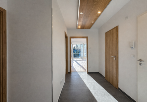 Flur Blick Wohnzimmer