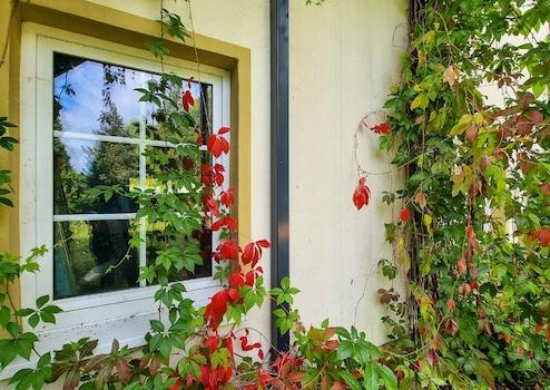 2016 hochwertig saniert I Ausstattung I 2 Bäder I Garten I Terrasse I Doppelcarport – Brandis Sachsen, de – Vorschaubild 5