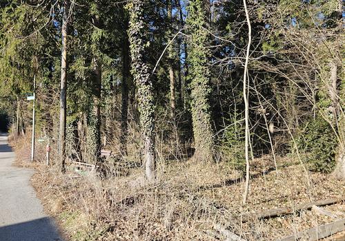 In direkter Umgebung