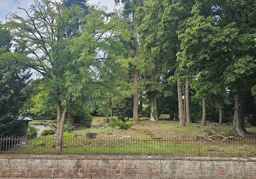 5264 - Bauplatz Ansicht von Süden