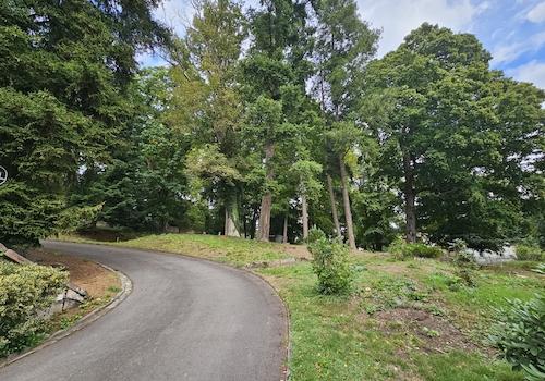 5264 - westlicher Bereich mit Zufahrt