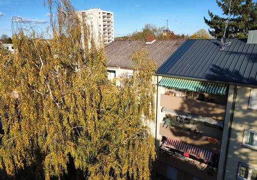 Rückseite hinter dem Baum