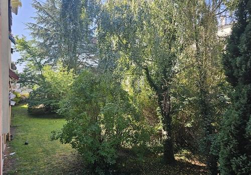 Grünanlage vor dem Balkon