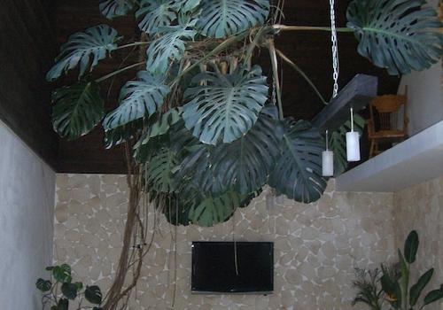 Wohnzimmer nach Norden