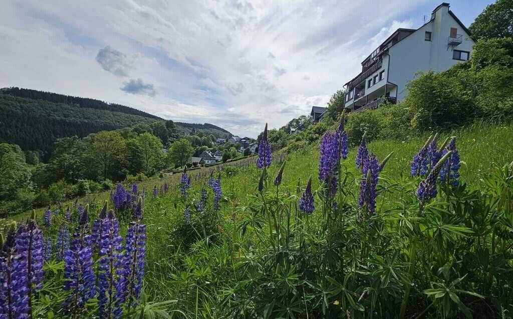 Ferienhaus Schmallenberg kaufen011