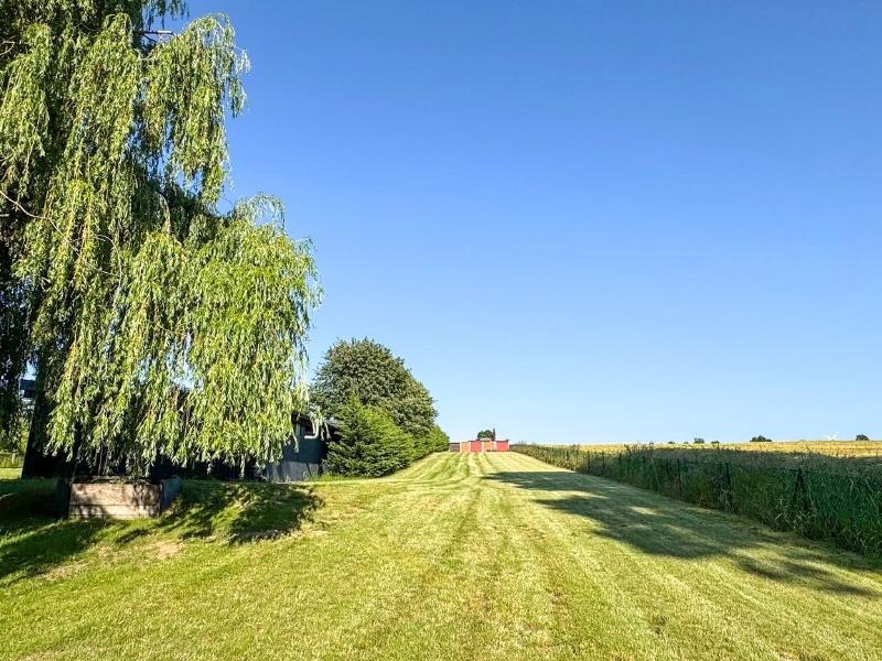 Detail Grundstück (5)