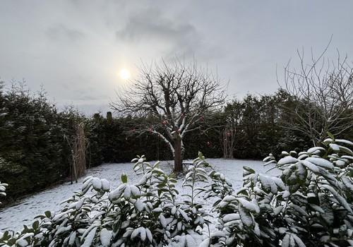 Blick Terrasse/aus Wohnzimmer